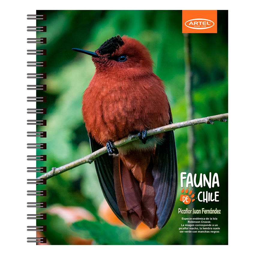 CUADERNO UNIVERSITARIO 100H 7MM ANIMALES CHILE ARTEL