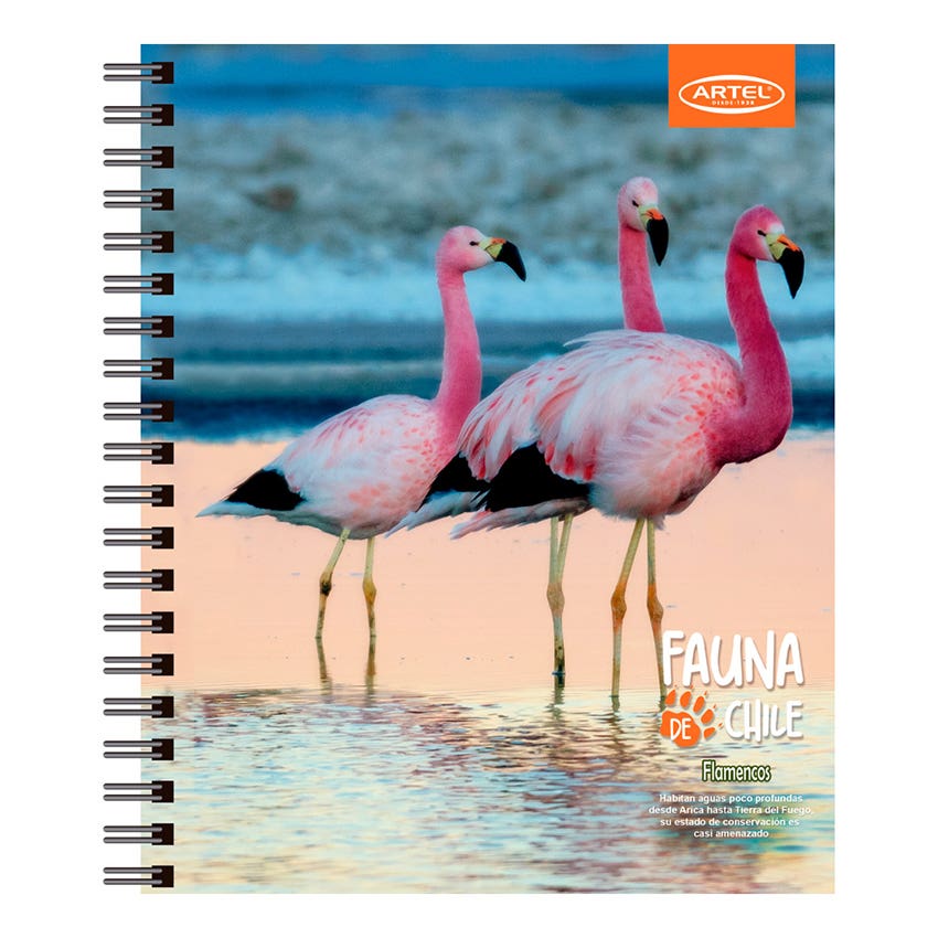 CUADERNO UNIVERSITARIO 100H 7MM ANIMALES CHILE ARTEL