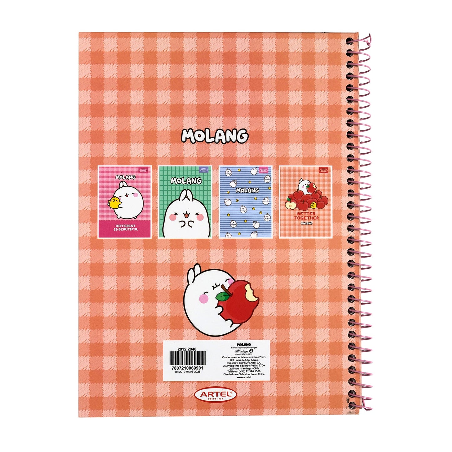 Cuaderno Especial Artel 120 Hojas 7 Mm Molang