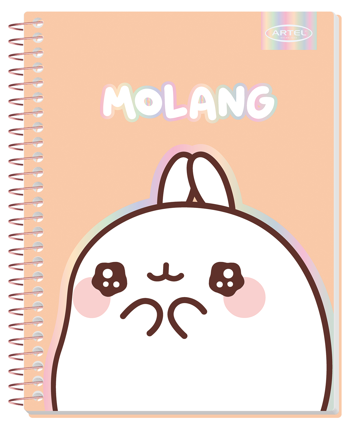 Cuaderno Especial Artel 150 Hojas Molang 7Mm