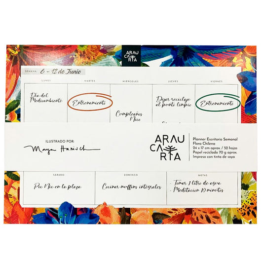 Pla. Sem. 24x17cm Flora Ch. Araucaria