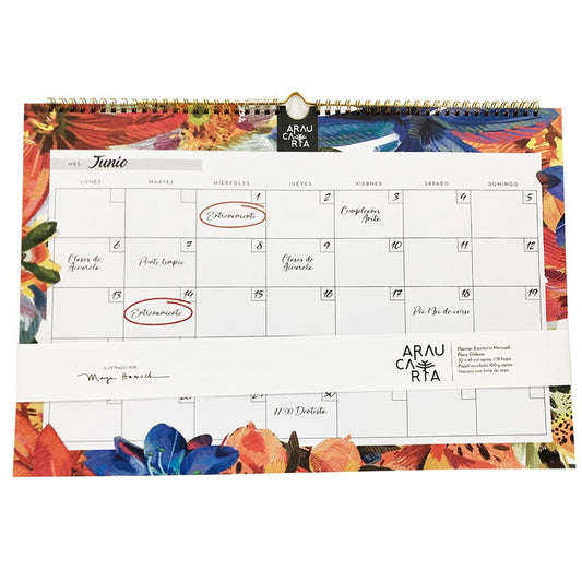 Pla. Men. 30x45cm Flora Ch. Araucaria