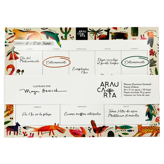 Pla. Sem. 24x17cm Animales Ch. Araucaria