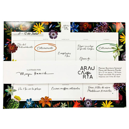 Pla. Sem. 24x17cm Flor Des. Araucaria