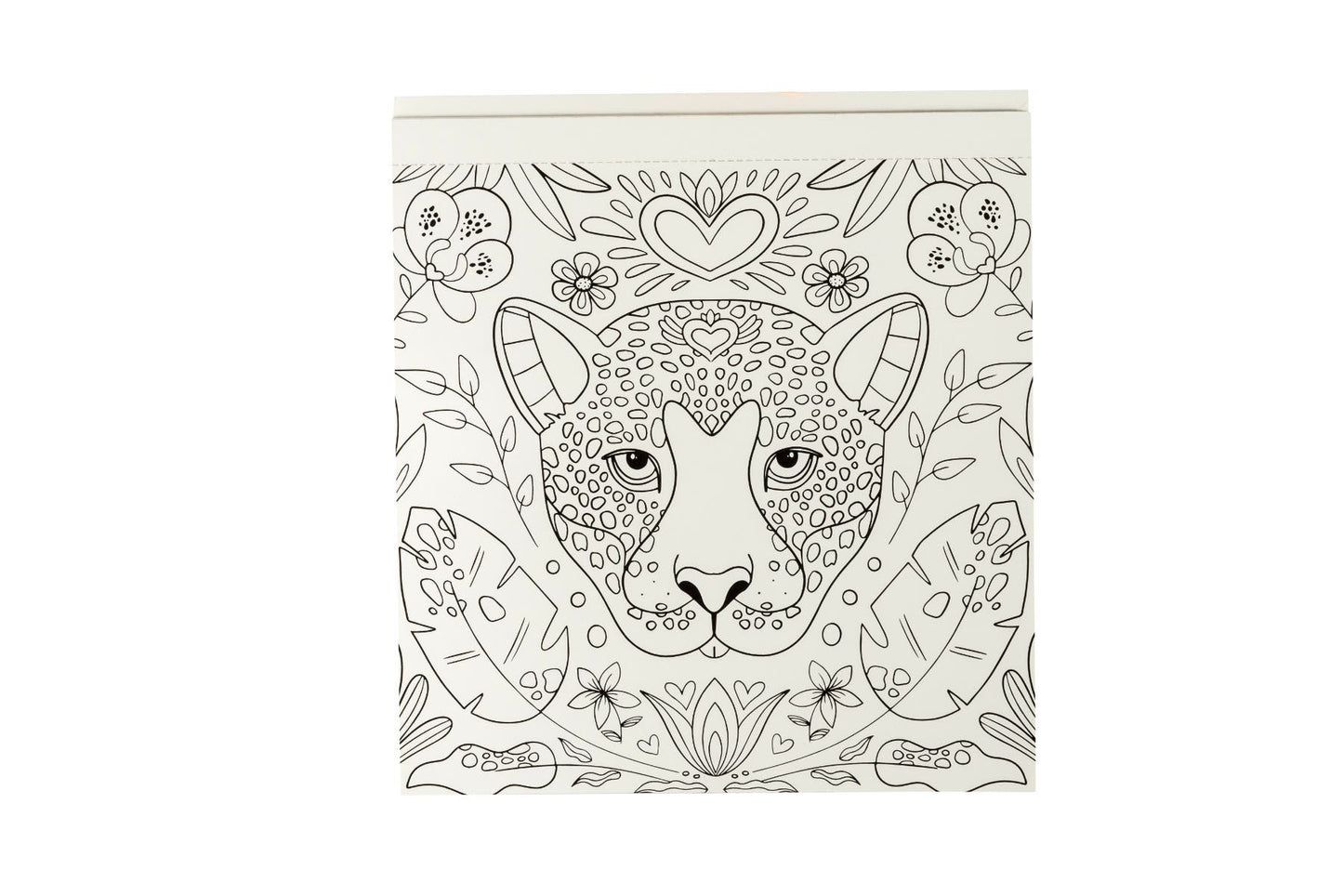 Block para colorear Magia Tropical