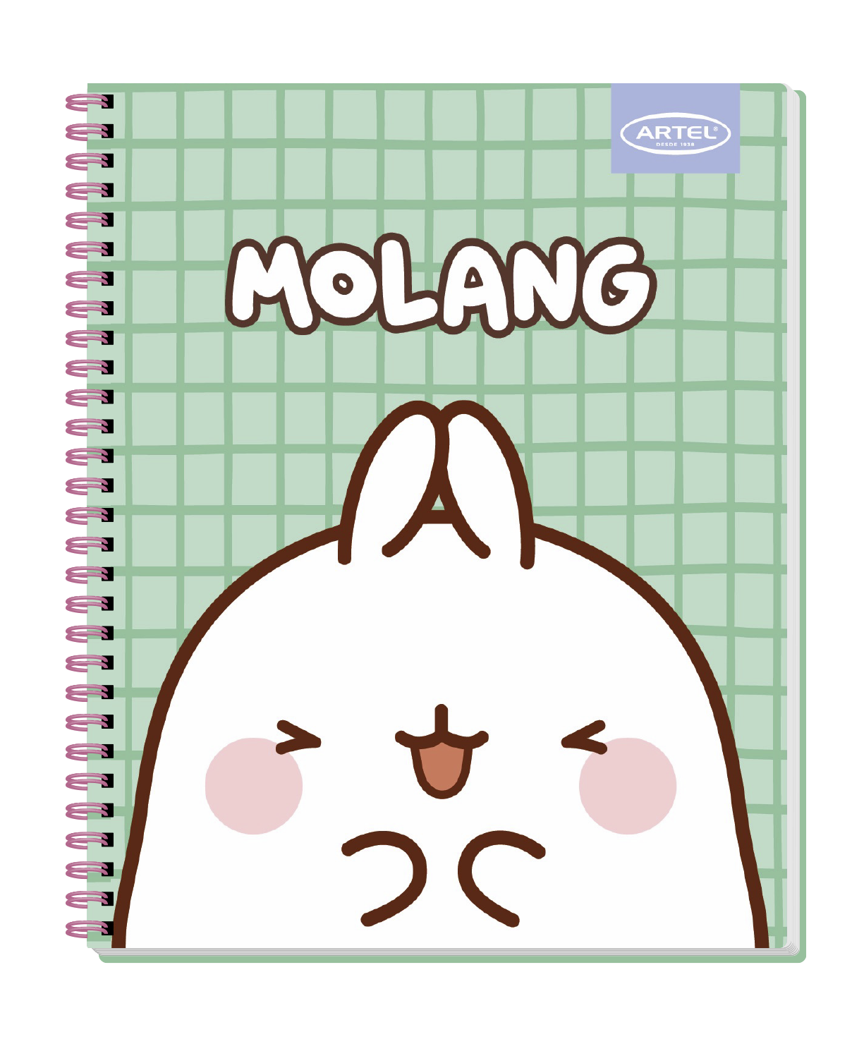 Cuaderno Universitario Artel 100 Hojas 7 Mm Molang