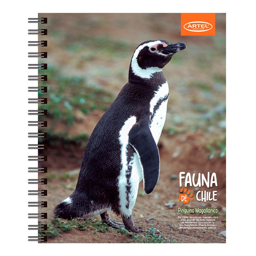 CUADERNO UNIVERSITARIO 100H 7MM ANIMALES CHILE ARTEL