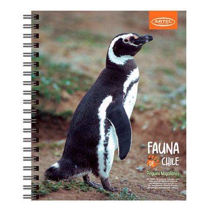 CUADERNO UNIVERSITARIO 100H 7MM ANIMALES CHILE ARTEL