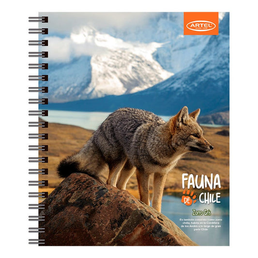 CUADERNO UNIVERSITARIO 100H 7MM ANIMALES CHILE ARTEL