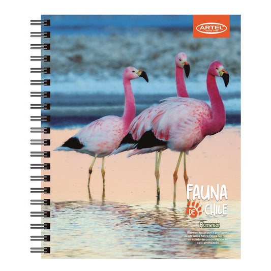 CUADERNO UNIVERSITARIO ARTEL 100 HOJAS 7MM DISEÑO ANIMALES DE CHILE 2024