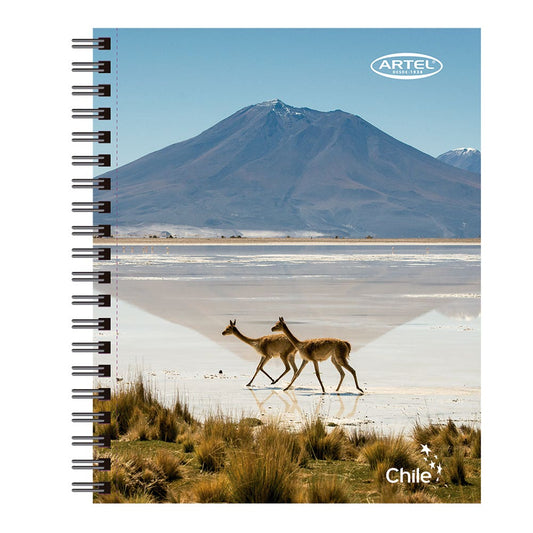 Cuaderno Universitario Ciudades 100 Hojas 7mm. Diseño Aleatorio Artel