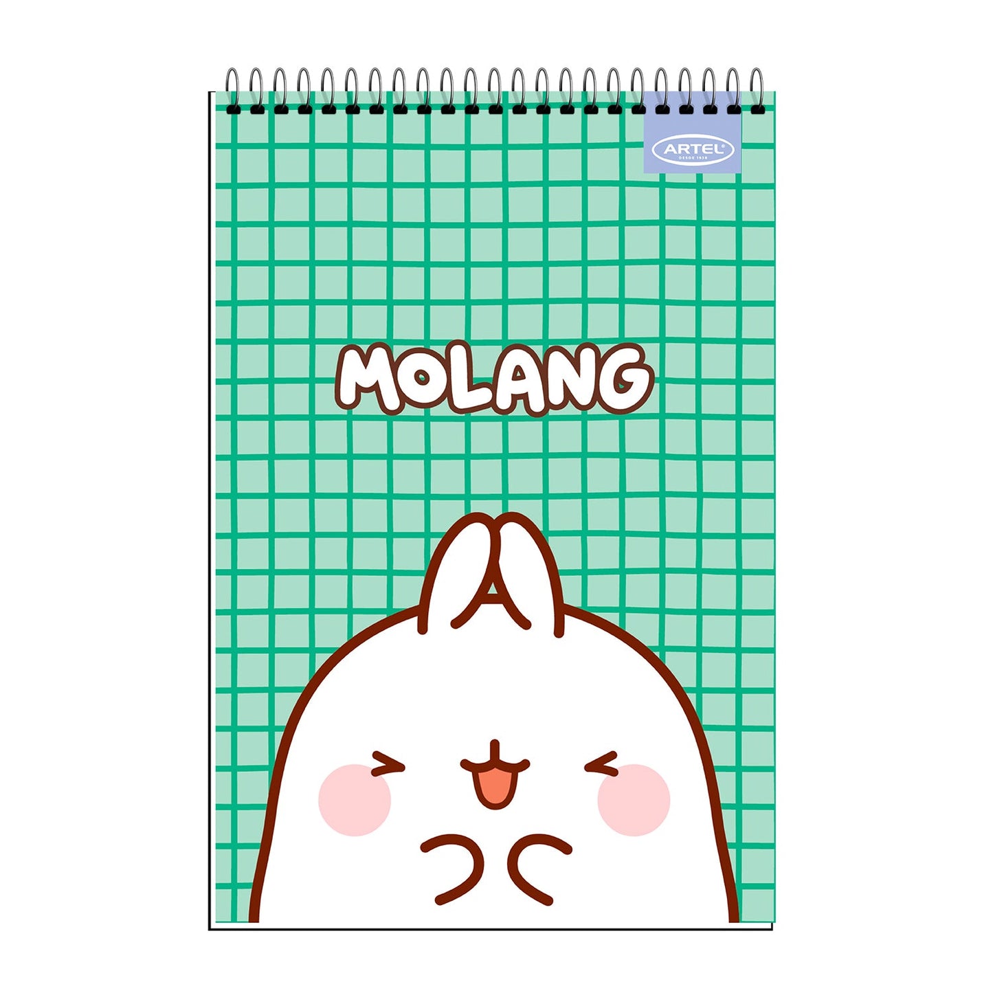 Croquera Artel 21X32 80 Hojas 7Mm Molang