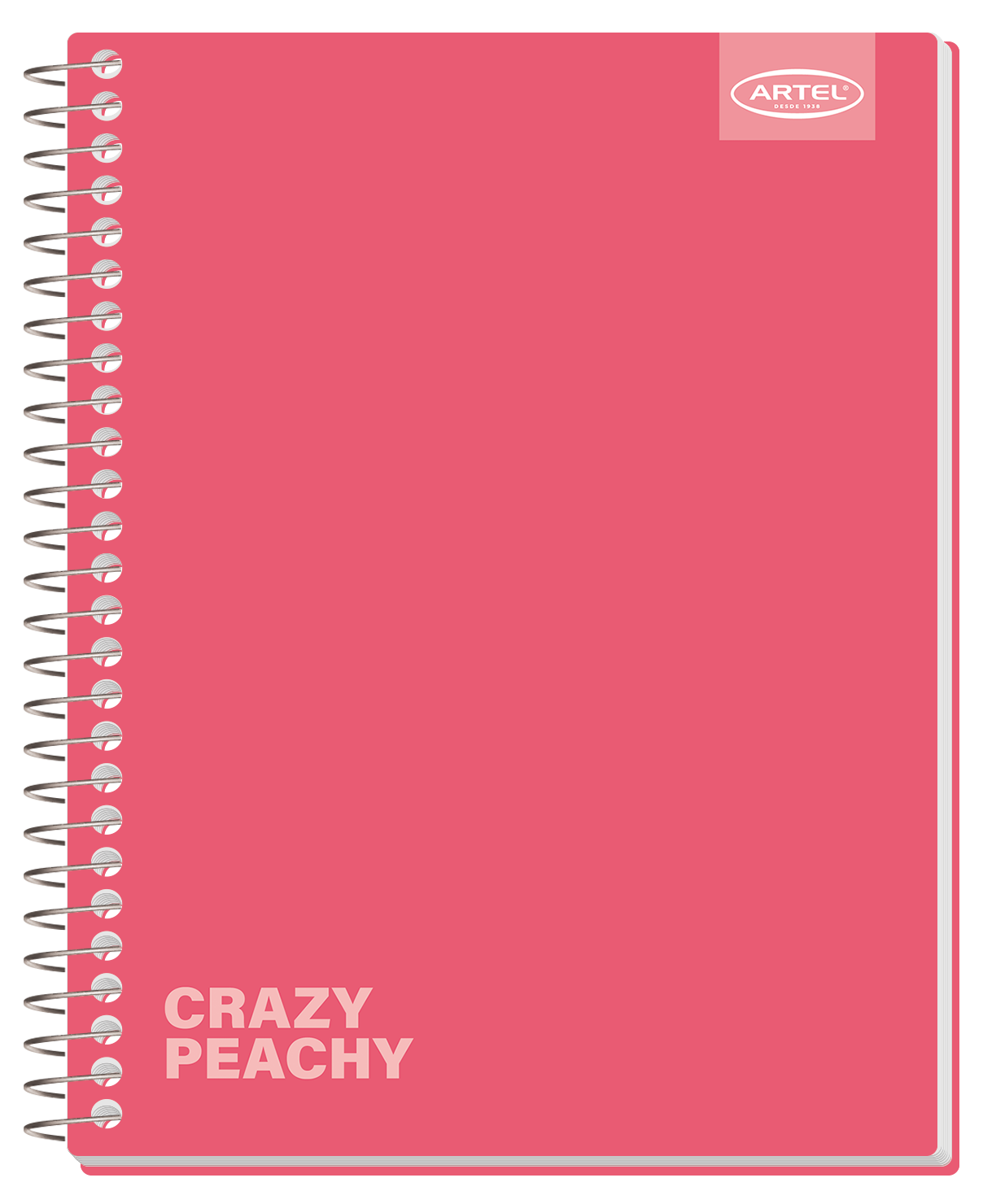Cuaderno Especial Artel 120 Hojas 7 Mm Flúor