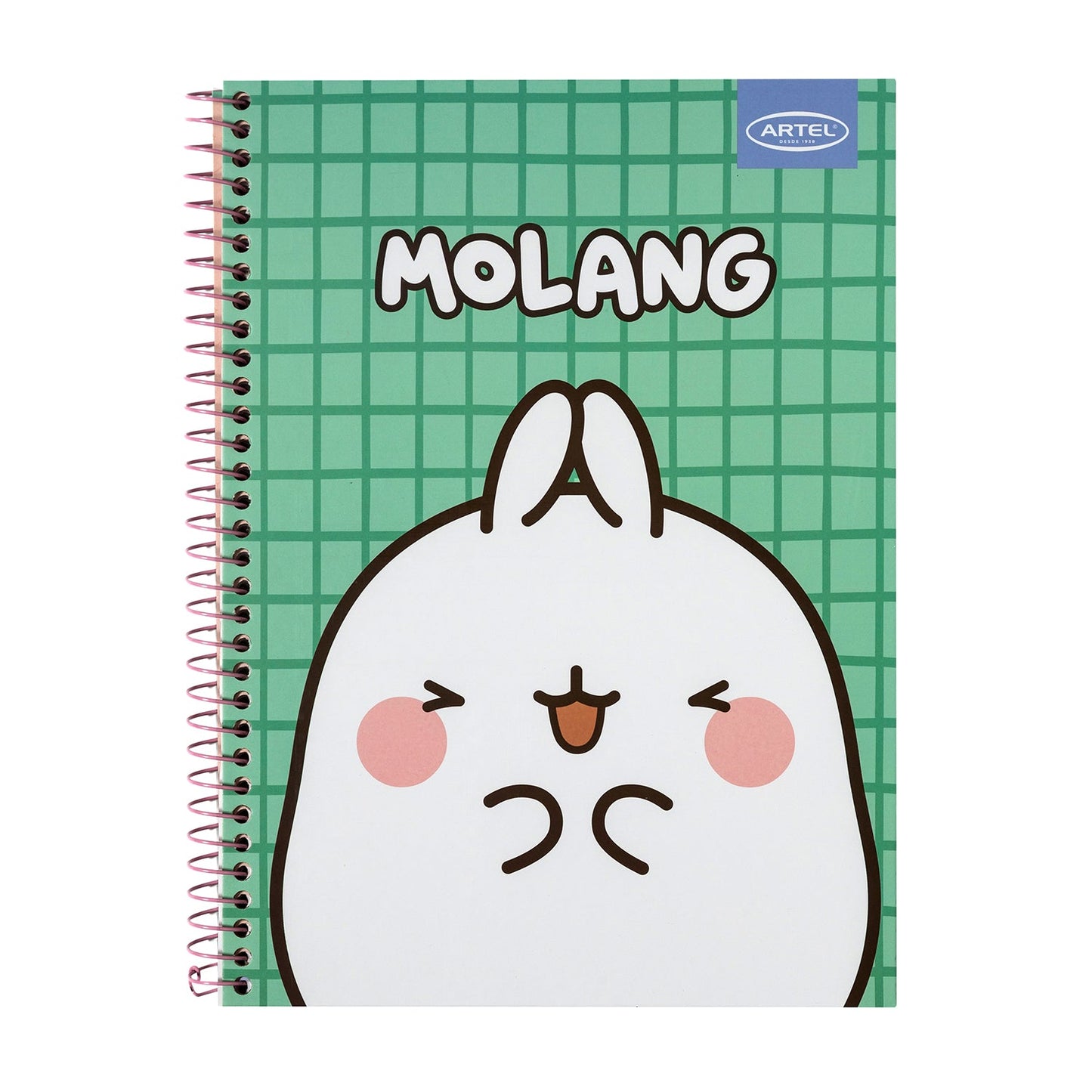 Cuaderno Especial Artel 120 Hojas 7 Mm Molang