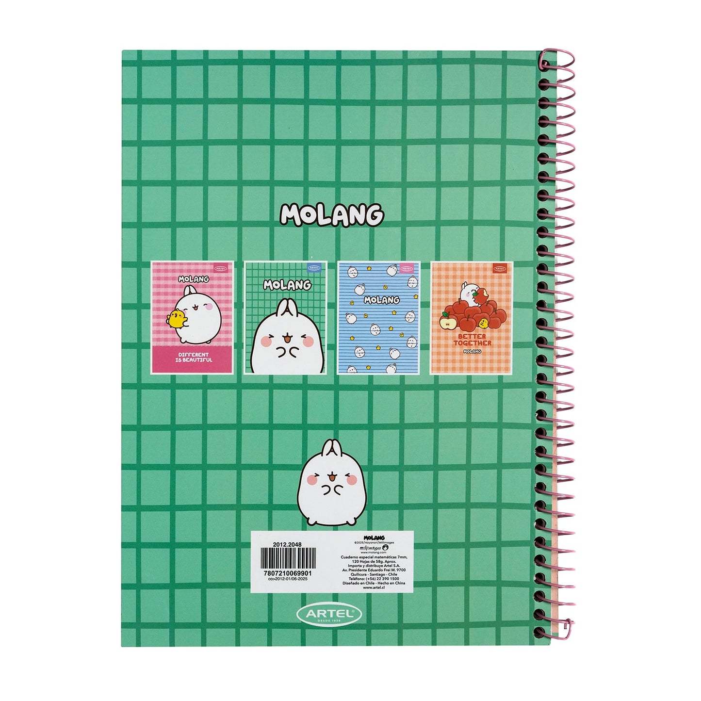 Cuaderno Especial Artel 120 Hojas 7 Mm Molang