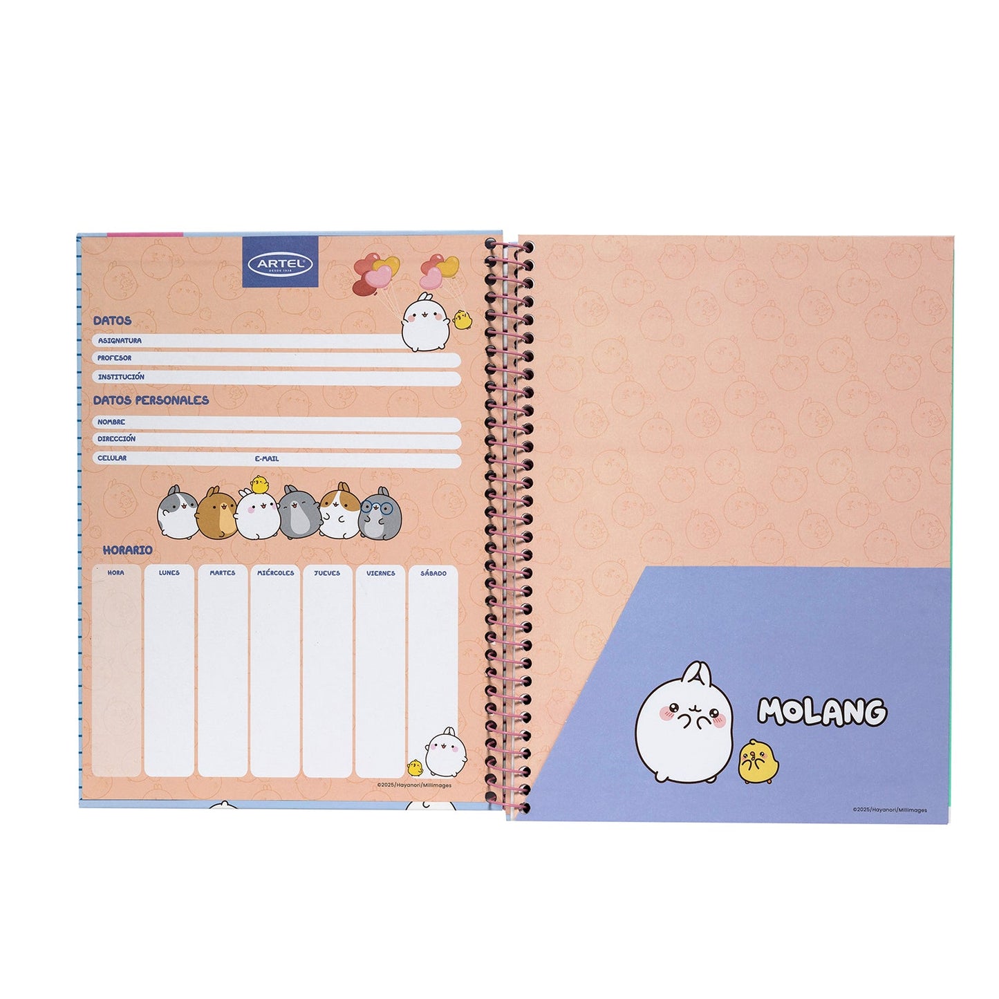 Cuaderno Especial Artel 120 Hojas 7 Mm Molang