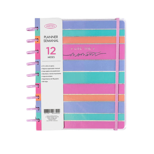 Planner 12 Meses Artel Discos Diseño Franja Pastel