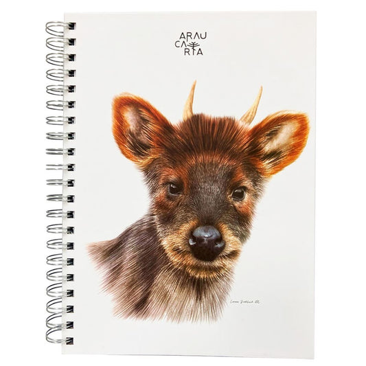 Cuad. Esp. 20x27,5cm Pudú Araucaria