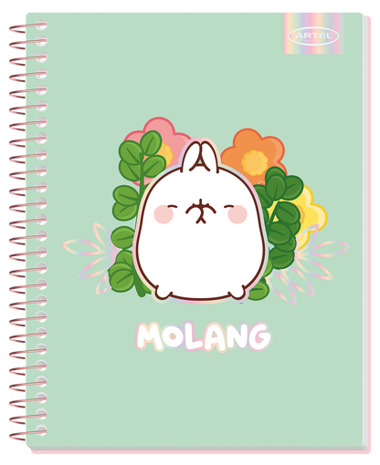 Cuaderno Especial Artel 150 Hojas Molang 7Mm