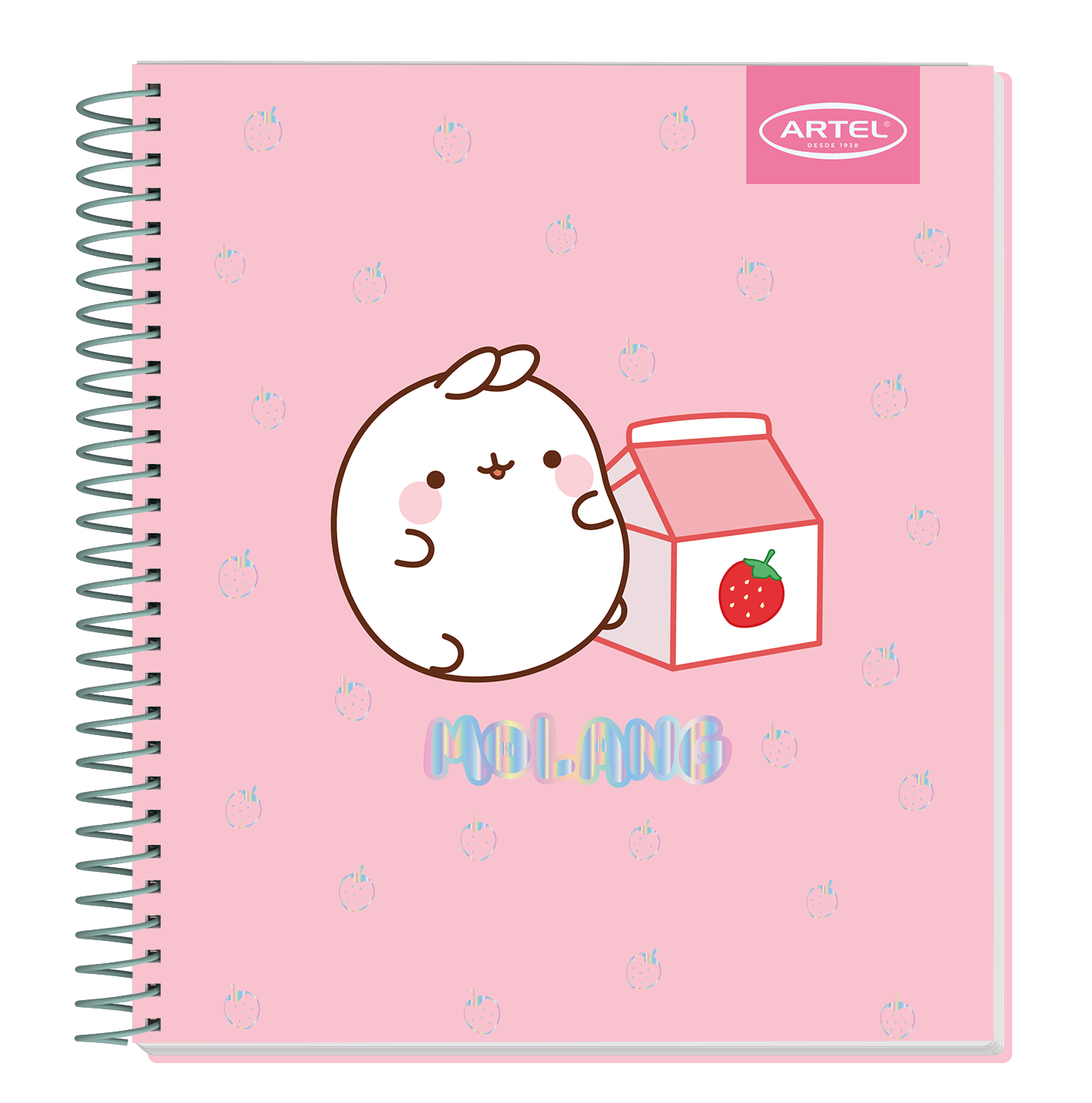 Cuaderno Book Artel 120 Hojas Molang