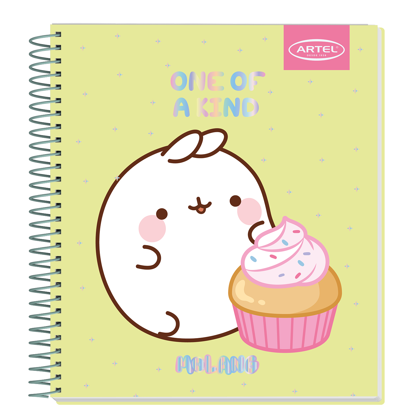 Cuaderno Book Artel 120 Hojas Molang