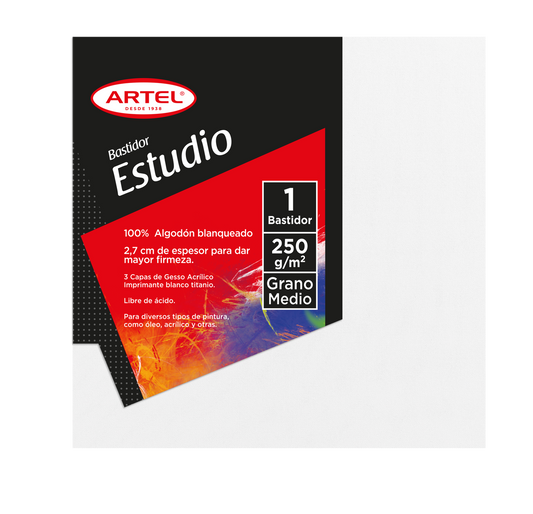 Bastidor Artel Estudio 250 Gsm 20X20